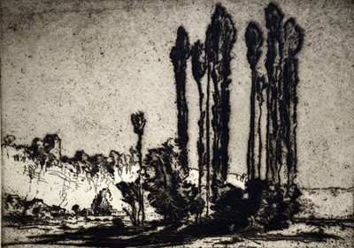Lot 217 - Sir Frank William Brangwyn - Trees by a River | etching