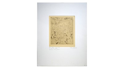 Lot 220 - Charles Labarde - Le The l au Lyons | etching