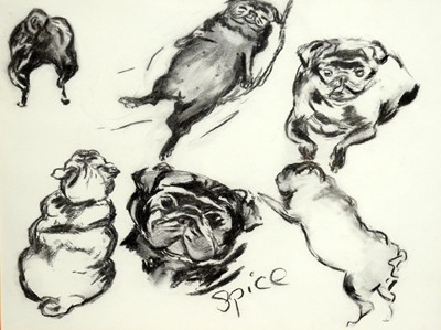 Lot 766 - 20th Century British - Studies of Spice and Snuff the Pugs | charcoal drawing