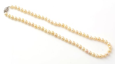 Lot 559 - A cultured pearl necklace