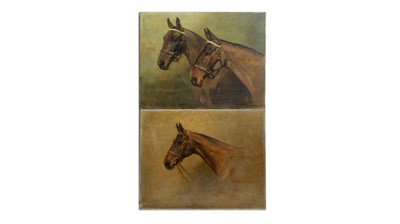 Lot 1194 - Alfred Grenfell Haigh - A pair of equine portraits | oil