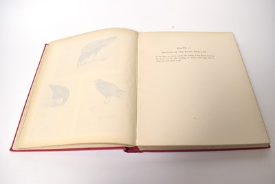 Lot 697 - Thorburn's A Naturalist's Sketch Book