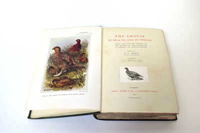 Lot 704 - Books on Game Birds
