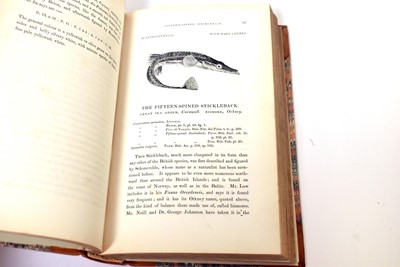 Lot 708 - Yarrell's British Fishes, 2 vols.