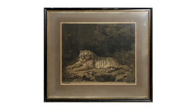 Lot 1027 - After George Stubbs - A Tigress | engraving