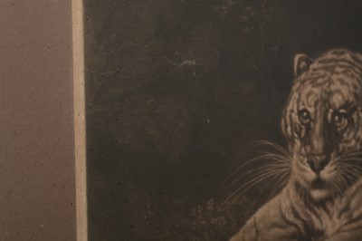 Lot 1027 - After George Stubbs - A Tigress | engraving