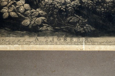Lot 1027 - After George Stubbs - A Tigress | engraving