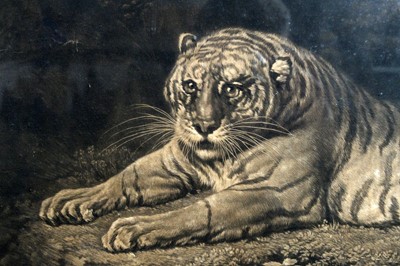 Lot 1027 - After George Stubbs - A Tigress | engraving