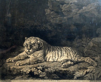 Lot 1027 - After George Stubbs - A Tigress | engraving