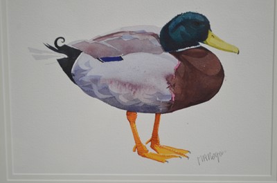 Lot 637 - Mary Anne Rogers - Mallard Drake | watercolour