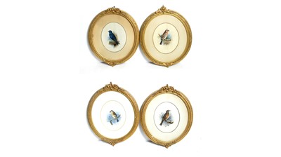 Lot 1094 - John Duncan - Four bird studies | watercolour