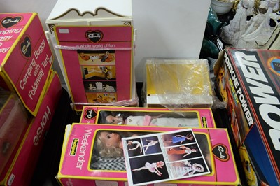 Lot 162 - A collection of Sindy dolls and accessories