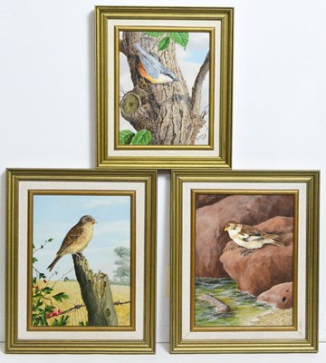 Lot 675 - William Bird - Three Ornithological Studies | oil