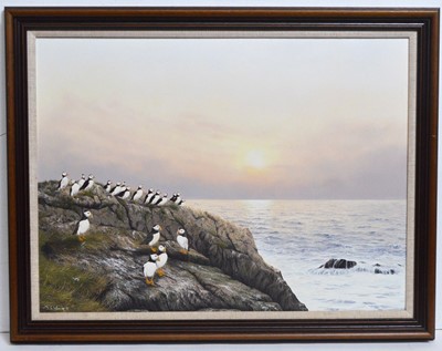 Lot 672 - Jerry S. Waide - Puffins at Sunset | oil