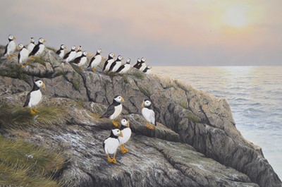 Lot 672 - Jerry S. Waide - Puffins at Sunset | oil