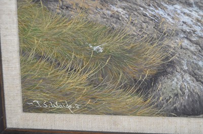 Lot 672 - Jerry S. Waide - Puffins at Sunset | oil