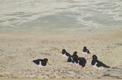 Lot 673 - Jerry S. Waide - Oystercatchers in the Pebbles | oil