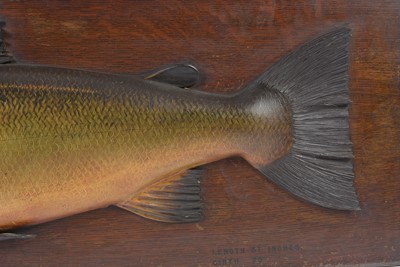 Lot 1324 - A large carved and painted half-block trophy model of a salmon