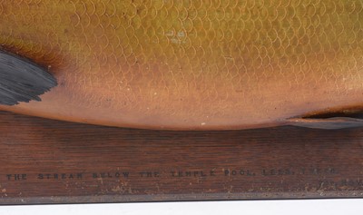 Lot 1324 - A large carved and painted half-block trophy model of a salmon