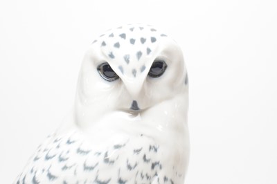 Lot 239 - A Royal Copenhagen snowy owl