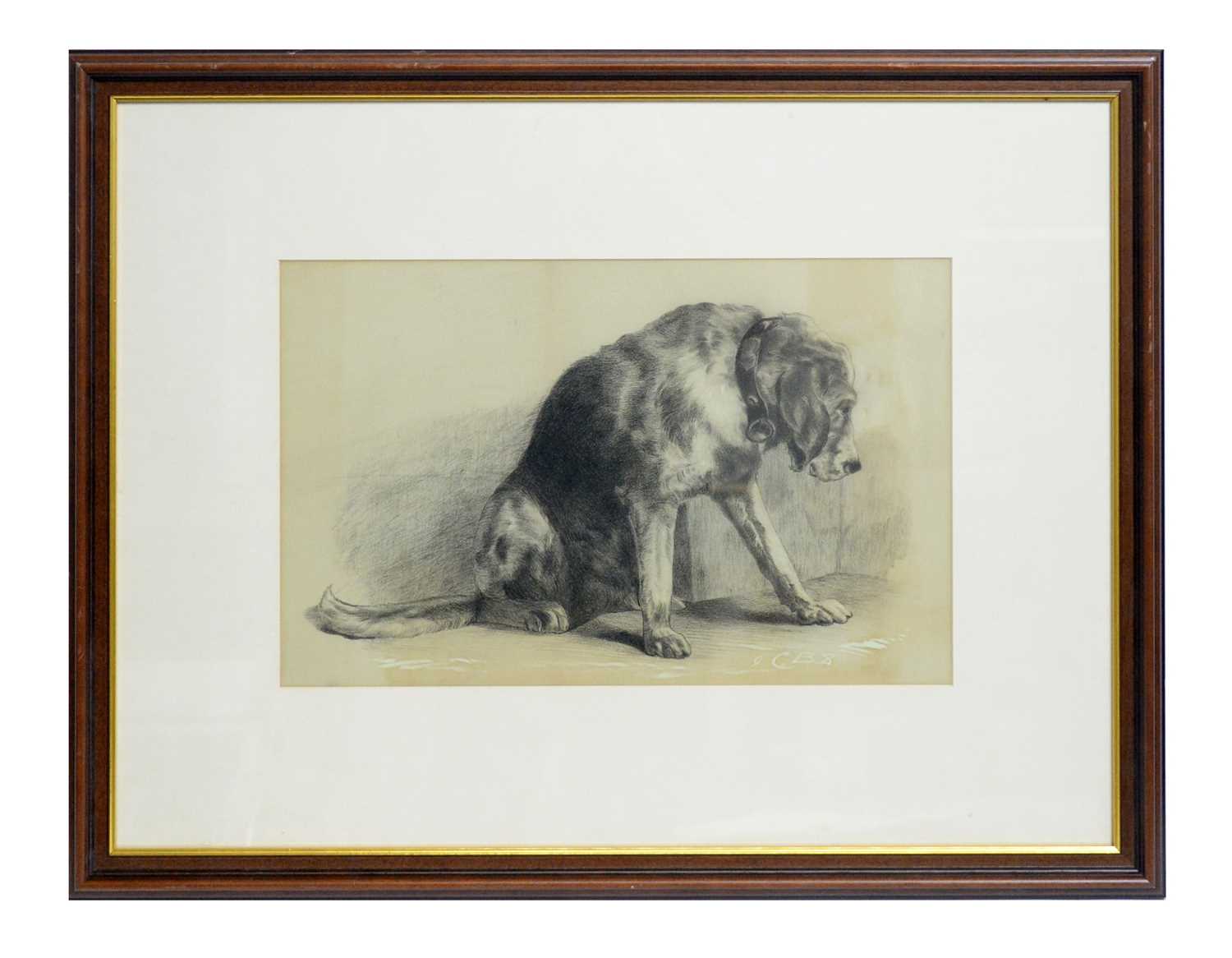Lot 766 - C. B. S - Portrait of a Bloodhound | pencil drawing