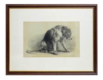 Lot 1080 - C. B. S - Portrait of a Bloodhound | pencil drawing
