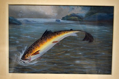 Lot 768 - 19th Century British School - Four fish studies | gouache