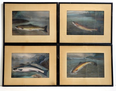 Lot 768 - 19th Century British School - Four fish studies | gouache