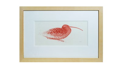 Lot 1095 - Ian Greensitt - Curlew Study | red chalk