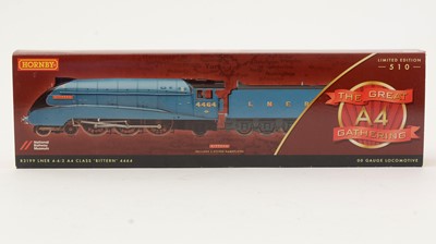 Lot 113 - Hornby 00-gauge The Great A4 Gathering Bittern locomotive and tender