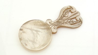 Lot 407 - An early 19th Century mother of pearl caddy spoon