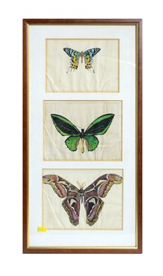 Lot 1081 - Gladys Davison - Three butterfly studies | watercolour