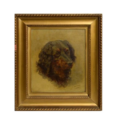 Lot 366 - C. Davidson - Portrait of a Dog | oil
