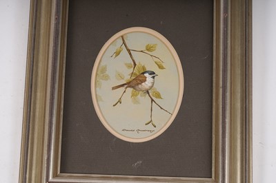 Lot 308 - David Andrews - A bird on a bough | gouache