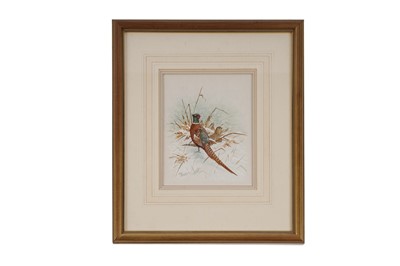 Lot 310 - Chris Sparrow - Pheasants in the Snow | watercolour