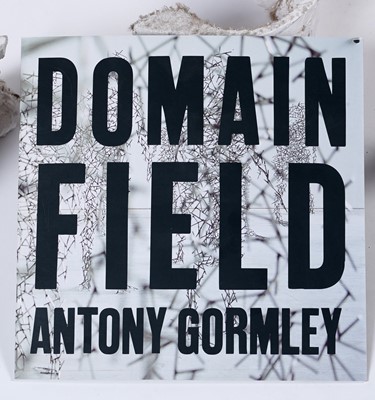 Lot 108 - Sir Antony Mark David Gormley - A studio mould for "Domain Field" | artist's mould