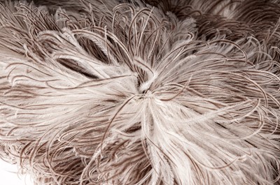 Lot 966 - A Belle Epoque ostrich feather fan retailed by Duvelleroy