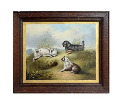 Lot 1127 - Circle of Frank Cassell - Three Little Dogs Rabbiting | oil