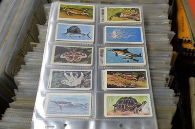 Lot 209 - A large collection of cigarette cards