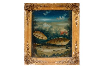 Lot 135 - 19th Century British School - Underwater View of Fish and a Cowrie Shell | reverse glass painting