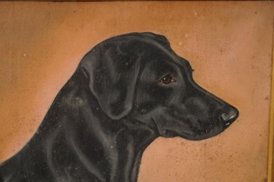 Lot 74 - Frank Prosser - Lady Atalanta and Bess; two dog portraits | pastel