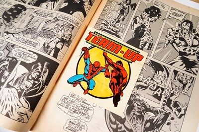 Lot 198 - The Amazing Spider-Man by Marvel Comics