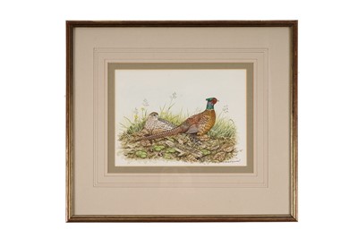 Lot 305 - Chris Sparrow - Pheasants Nestled Amongst Autumn Leaves | watercolour