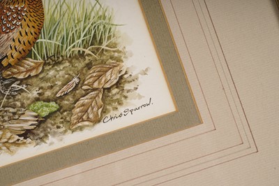 Lot 305 - Chris Sparrow - Pheasants Nestled Amongst Autumn Leaves | watercolour