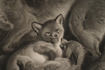 Lot 6 - William Turner Davey - A Vixen Fox and Her Cubs | stipple engraving