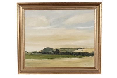 Lot 117 - Alan Turner - Landscape Near Denholm | oil