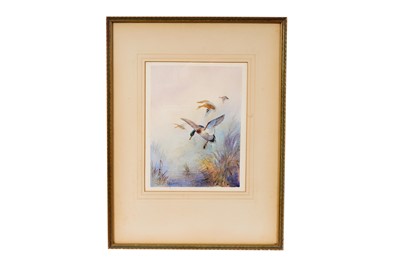 Lot 78 - William E. Powell - Ducks in Flight | watercolour