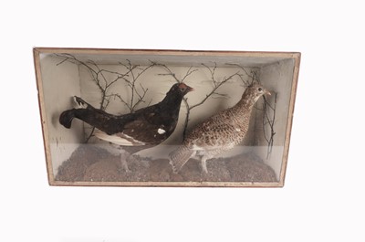 Lot 906 - A Victorian taxidermy game bird display case