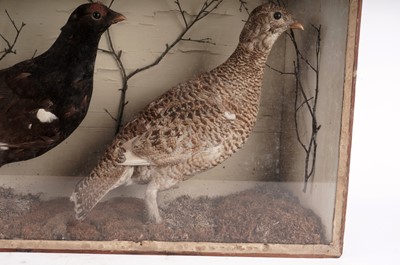 Lot 906 - A Victorian taxidermy game bird display case