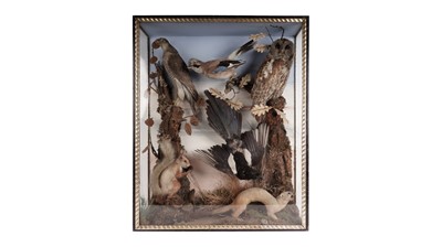 Lot 909 - A Victorian British wildlife taxidermy display case